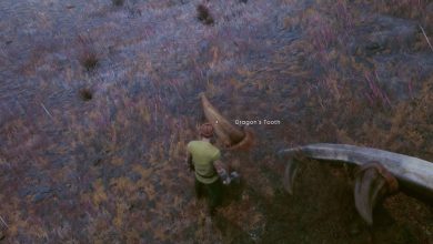 Photo of How to Get Dragon Tooth in Runescape: Dragonwilds